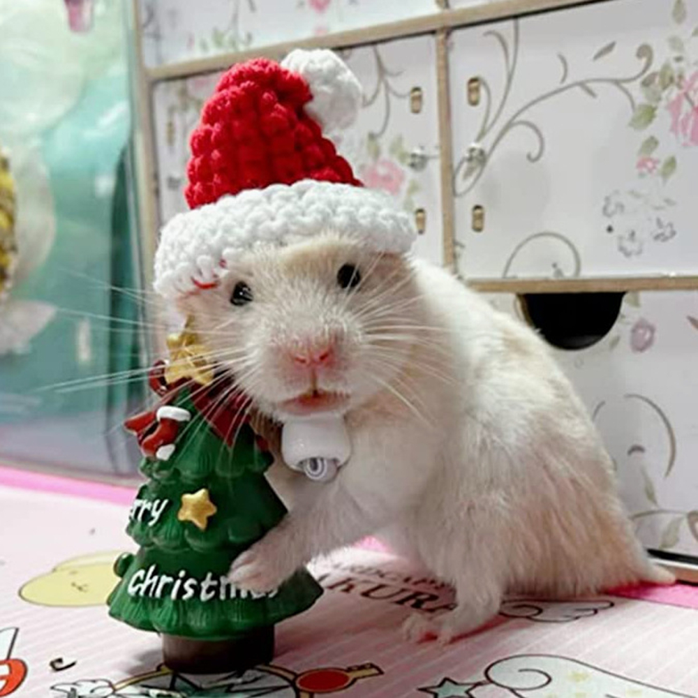 Hand Woven Pet Christmas Hat D - Santa Hat Plush ulasan dan harga